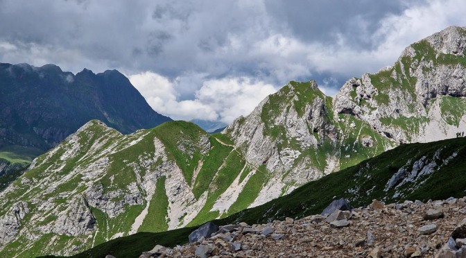 Blumenwandern in den Bergamasker Alpen